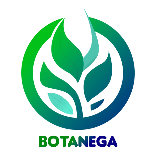 Botenega Logo
